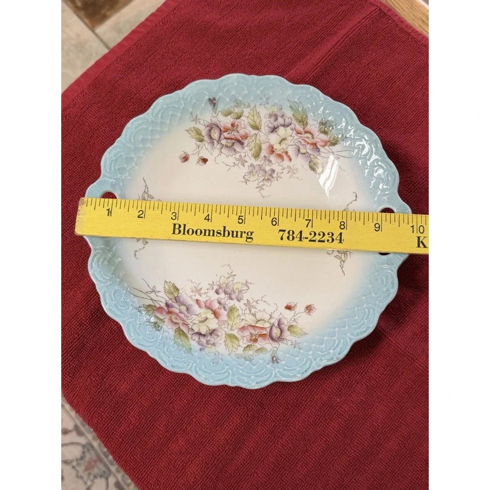 Antique Floral Cake Plate Aqua Blue Embossed Rim Pink Wild Roses 10